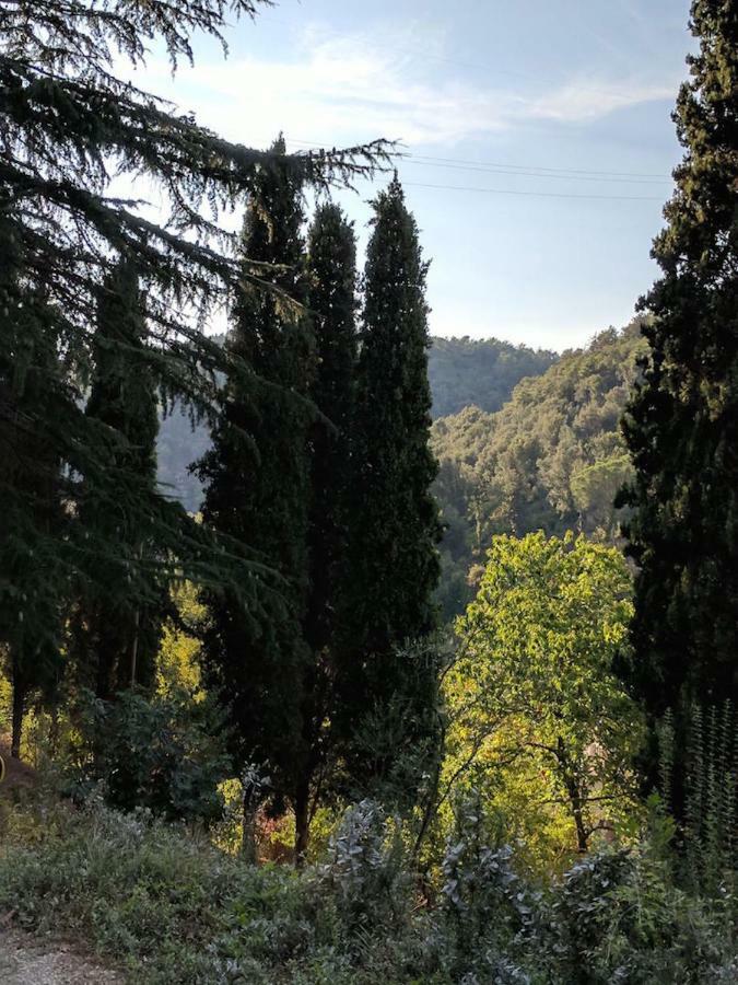 Agula Relais Camera Matrimoniale Pugnano المظهر الخارجي الصورة